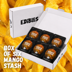 Box of 6 Freeze Dried Mango Stash
