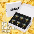 Box of 6 Freeze Dried Pineapple Stash
